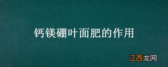 钙镁硼叶面肥的作用和用法 钙镁硼叶面肥的作用