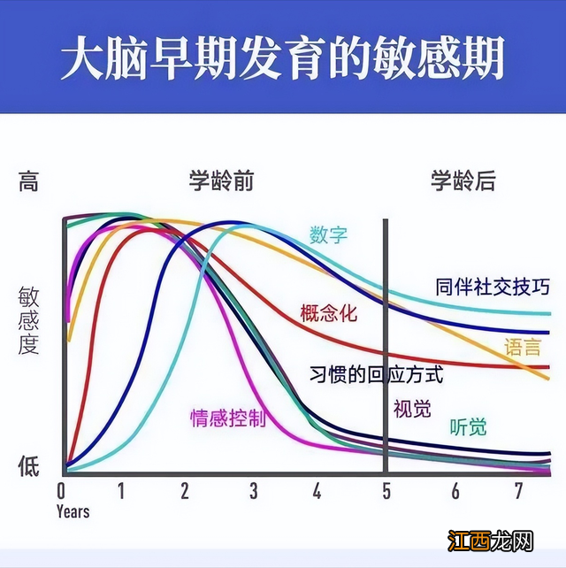 猫咪一岁半是几个月 一岁半是几个月