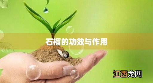 石榴的功效与作用、禁忌和食用方法 石榴的功效与作用