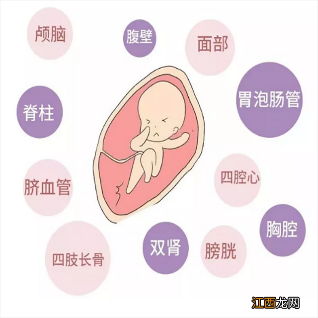 妇产医院做糖耐多少钱 做糖耐多少钱