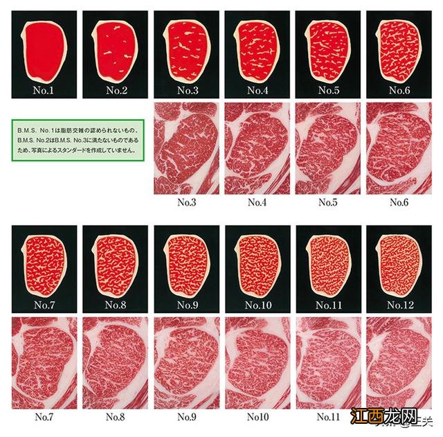 m12和牛肉多少钱一斤 m12和牛