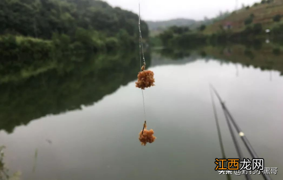 钓白条用什么饵料最好最佳 钓白条用什么饵料