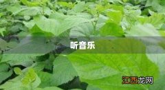 听音乐找相关话题汉字找茬王 听音乐