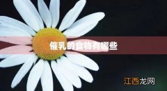 奶水少了如何追奶最有效方法 催乳的食物有哪些