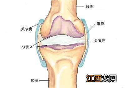 滑囊炎是什么原因引起的怎么治疗 滑囊炎是怎么回事