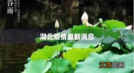 湖北疫情最新消息今 湖北疫情最新消息