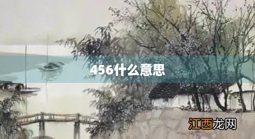 131456什么意思 456什么意思