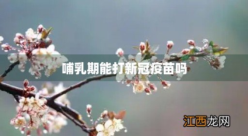 哺乳期能打新冠疫苗吗对孩子有影响吗 哺乳期能打新冠疫苗吗