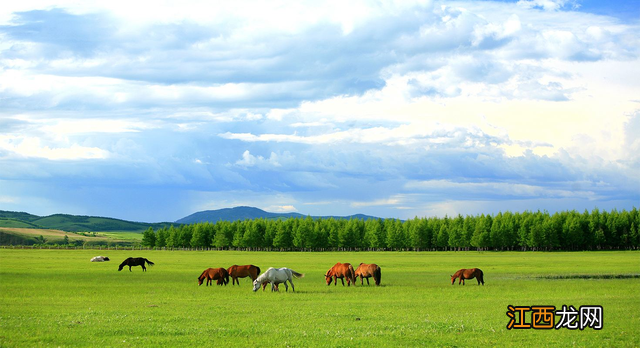 天然牧场是什么意思 天然牧场