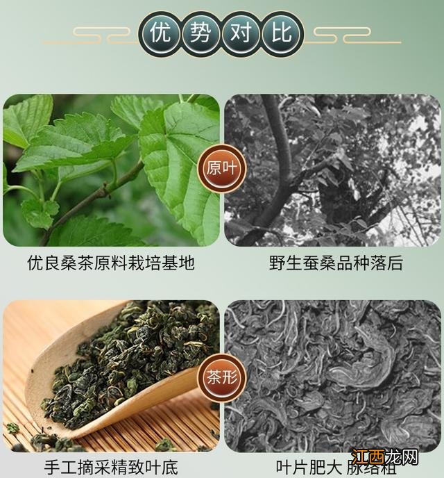 喝桑叶茶有什么好处和坏处 喝桑叶茶有什么功效与作用