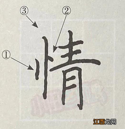 展字的笔画顺序 左字的笔画顺序
