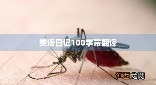 英语日记100字带翻译