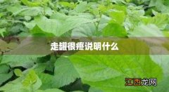 走罐太疼怎么办 走罐很疼说明什么