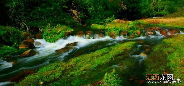 唐诗小池一首全文带拼音 唐诗小池