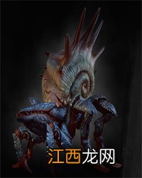 《巫师3：狂猎》全怪物弱点图鉴一览攻略 怪物怎么打 尸婴