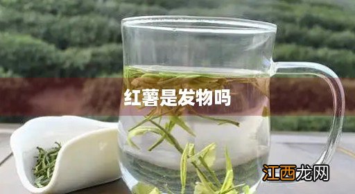 红薯是发物吗?哪些人不能吃 红薯是发物吗