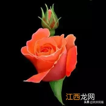 七月七日是情人节吗英文 七月七日是情人节吗