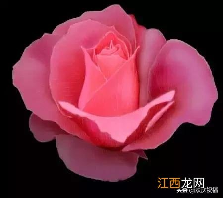 七月七日是情人节吗英文 七月七日是情人节吗