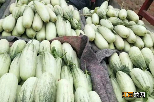 羊角蜜多少钱一斤湖北 羊角蜜多少钱一斤