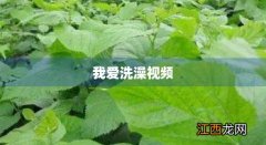 附近大众澡堂 我爱洗澡视频