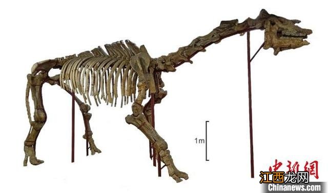 揭开谜团英语 揭开谜团