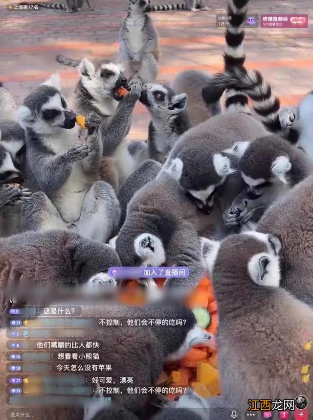 qq宝宝乐园登录 qq宝宝乐园