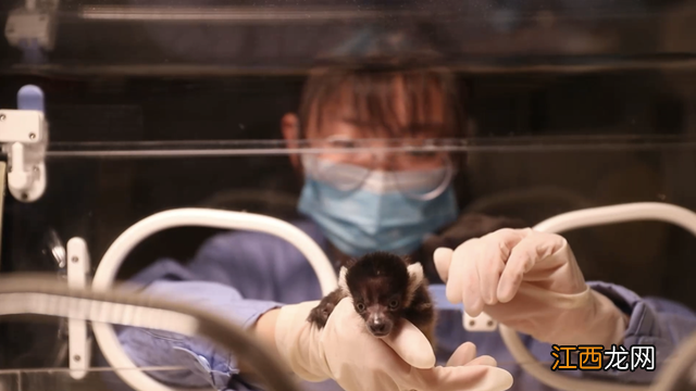 qq宝宝乐园登录 qq宝宝乐园