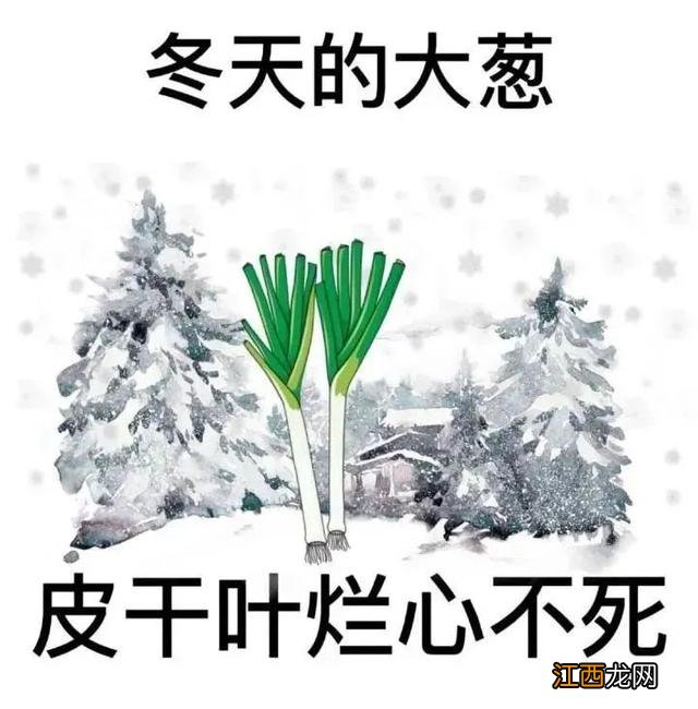 骂人歇后语表情包 歇后语表情包