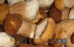 云南野生菌的功效与作用