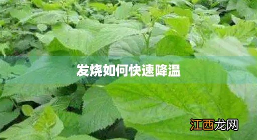 发烧怎么办简单的退烧方法 发烧如何快速降温