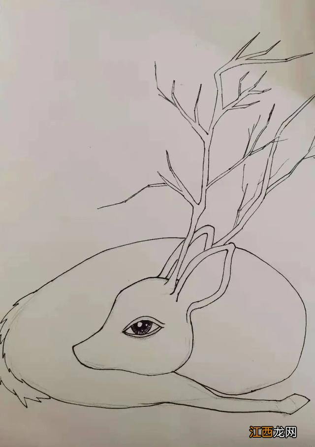 梅花鹿怎么画素描简单 梅花鹿怎么画