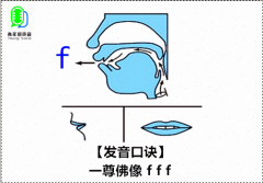 f的拼音怎么读 f的拼音