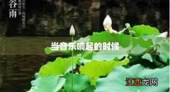 当音乐响起的时候作文 当音乐响起的时候