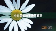 小白兔的故事睡前故事哄女朋友 小白兔的故事睡前故事