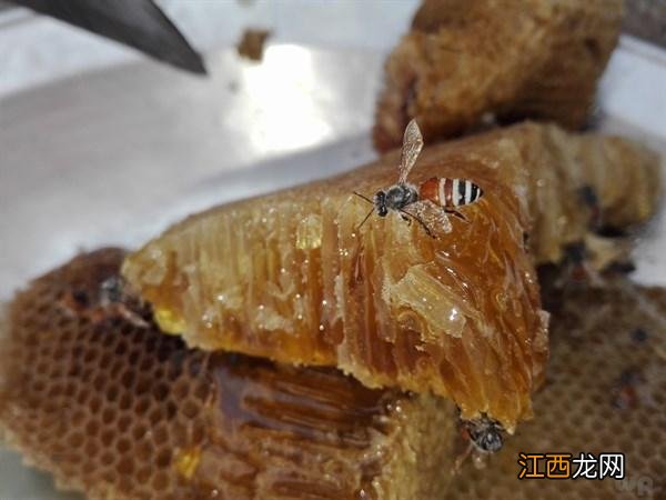 蜂巢4类人不能吃 蜂巢蜜怎么吃最好