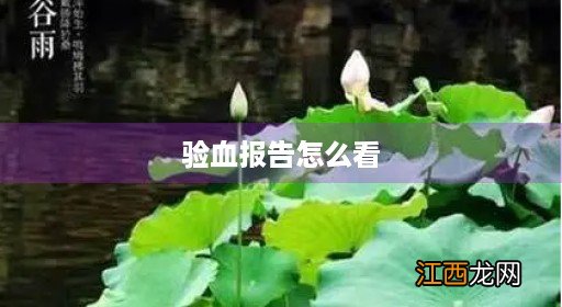 验血报告怎么看细菌感染还是病毒感染 验血报告怎么看