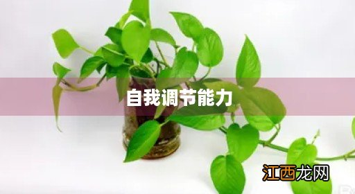 自我调节能力是抵抗力还是恢复力 自我调节能力