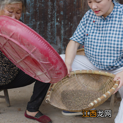 苦荞粑粑怎么做才松软 苦荞粑粑