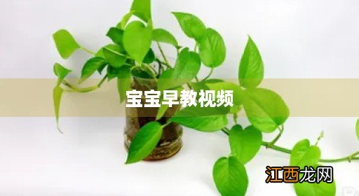 小儿早教视频教程免费观看 宝宝早教视频