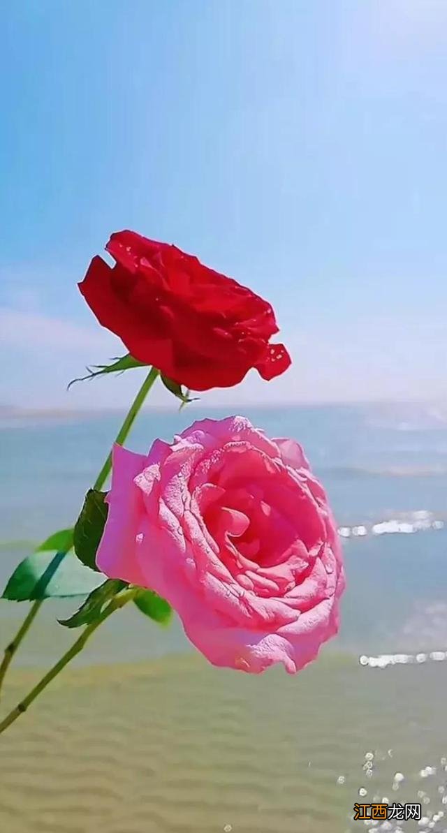 珍惜你的女人是什么歌 珍惜你的女人