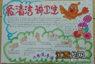 小学生卫生手抄报大全 小学生卫生手抄报