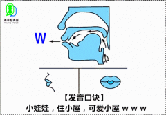 white怎么读 w怎么读