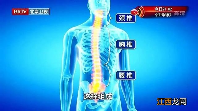 性运动如何活动 正确的站立姿势