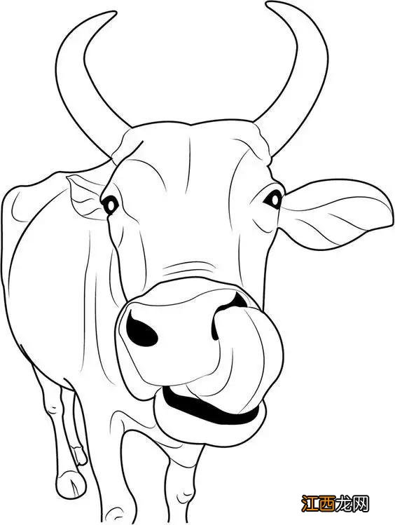 简笔画牛的画法简单 简笔画牛的画法