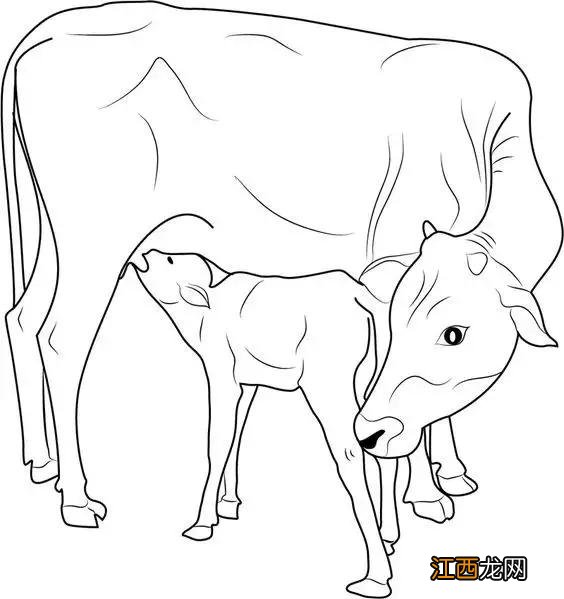 简笔画牛的画法简单 简笔画牛的画法