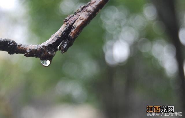 积雨辋川庄作拼音版跟读 积雨辋川庄作拼音版