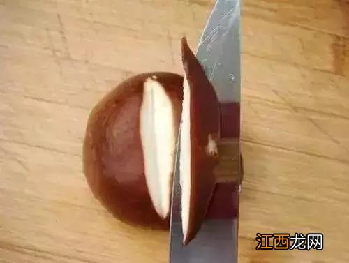 鱿鱼花刀切法图解视频 鱿鱼花刀切法图解