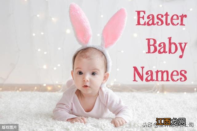 德字五行属什么 竹字五行属什么