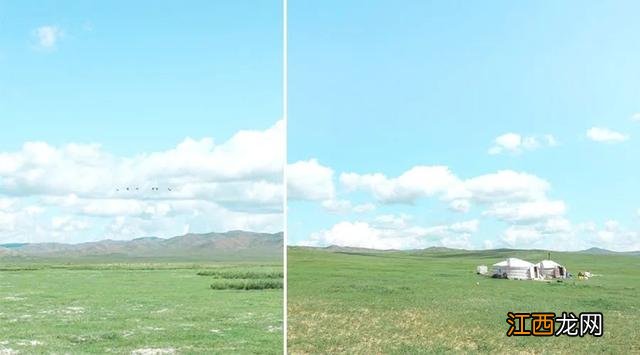 小花小草简笔画彩色 小花小草简笔画