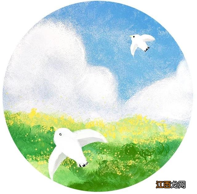 小花小草简笔画彩色 小花小草简笔画